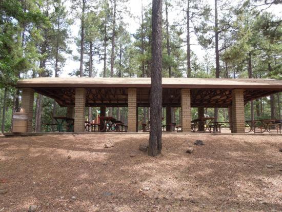 파인톱-호변 Pine Cone Cabin 빌라 외부 사진
